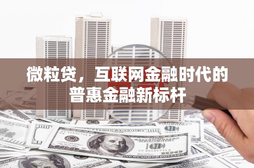 大兴安岭微粒贷，互联网金融时代的普惠金融新标杆