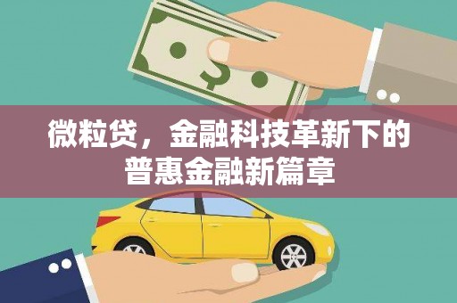 大兴安岭微粒贷，金融科技革新下的普惠金融新篇章