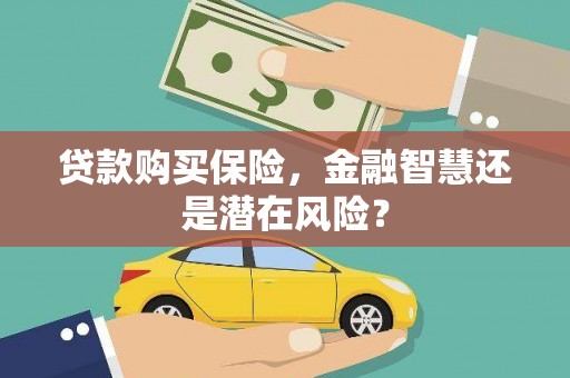 大兴安岭贷款购买保险，金融智慧还是潜在风险？