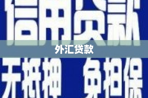 大兴安岭外汇贷款