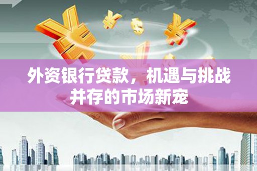大兴安岭外资银行贷款，机遇与挑战并存的市场新宠