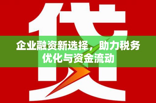 大兴安岭企业融资新选择，助力税务优化与资金流动
