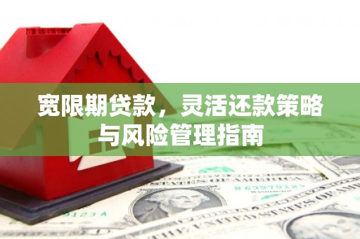 大兴安岭宽限期贷款，灵活还款策略与风险管理指南