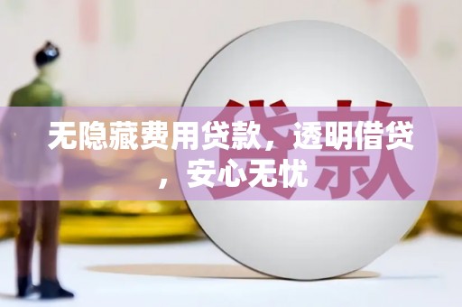 大兴安岭无隐藏费用贷款，透明借贷，安心无忧