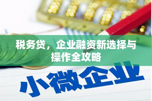 大兴安岭税务贷，企业融资新选择与操作全攻略