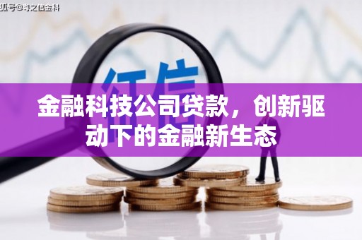 大兴安岭金融科技公司贷款，创新驱动下的金融新生态