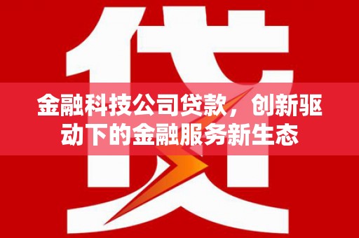 大兴安岭金融科技公司贷款，创新驱动下的金融服务新生态