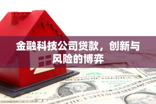 大兴安岭金融科技公司贷款，创新与风险的博弈