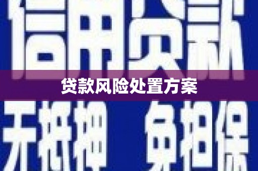 大兴安岭贷款风险处置方案