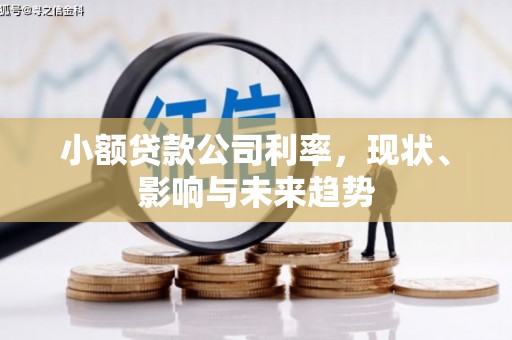 大兴安岭小额贷款公司利率，现状、影响与未来趋势
