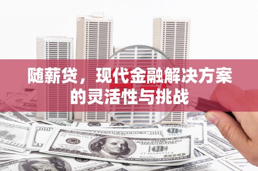 大兴安岭随薪贷，现代金融解决方案的灵活性与挑战