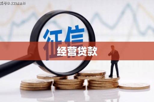 大兴安岭经营贷款