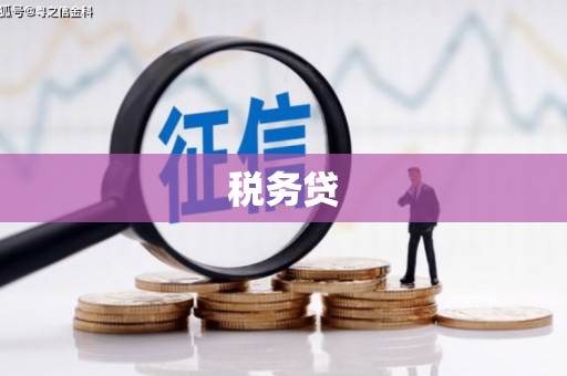 大兴安岭税务贷