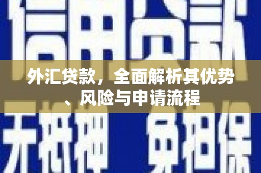 大兴安岭外汇贷款，全面解析其优势、风险与申请流程