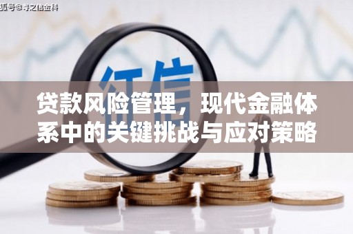 大兴安岭贷款风险管理，现代金融体系中的关键挑战与应对策略