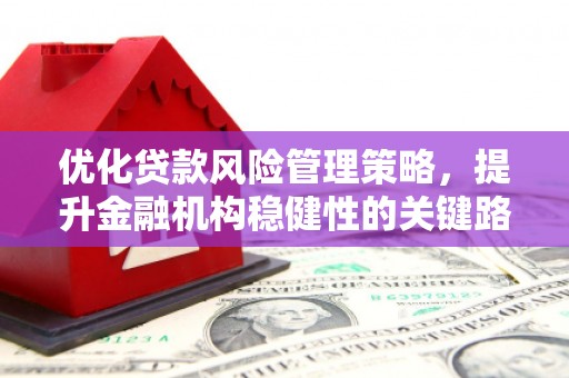 大兴安岭优化贷款风险管理策略，提升金融机构稳健性的关键路径