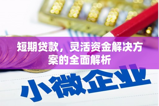 大兴安岭短期贷款，灵活资金解决方案的全面解析