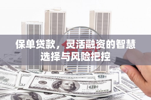 大兴安岭保单贷款，灵活融资的智慧选择与风险把控