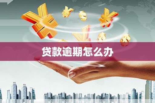 大兴安岭贷款逾期怎么办