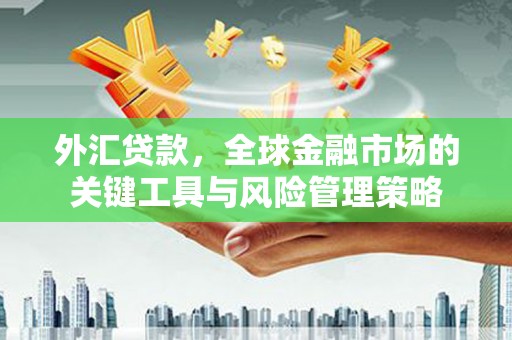大兴安岭外汇贷款，全球金融市场的关键工具与风险管理策略