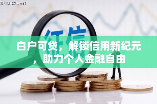 大兴安岭白户可贷，解锁信用新纪元，助力个人金融自由