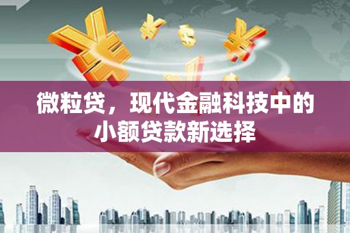 大兴安岭微粒贷，现代金融科技中的小额贷款新选择