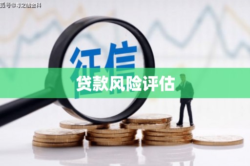大兴安岭贷款风险评估