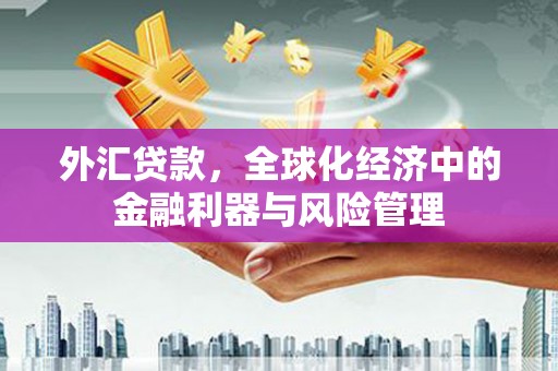 大兴安岭外汇贷款，全球化经济中的金融利器与风险管理