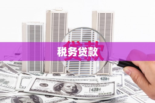大兴安岭税务贷款