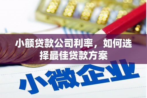 大兴安岭小额贷款公司利率，如何选择最佳贷款方案
