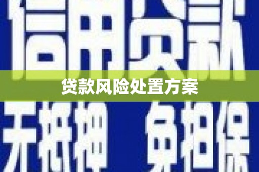 大兴安岭贷款风险处置方案