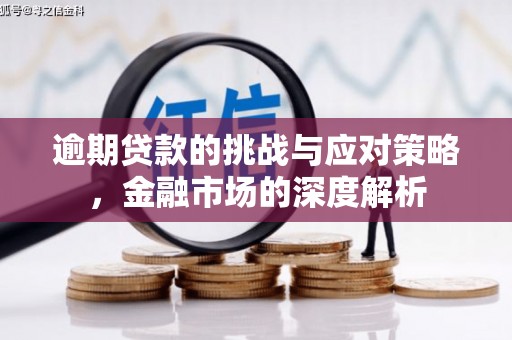 大兴安岭逾期贷款的挑战与应对策略，金融市场的深度解析