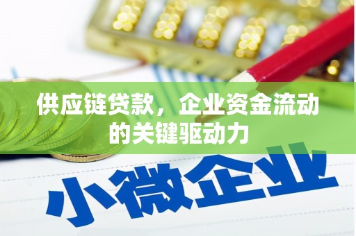 大兴安岭供应链贷款，企业资金流动的关键驱动力