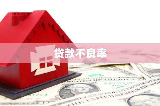 大兴安岭贷款不良率