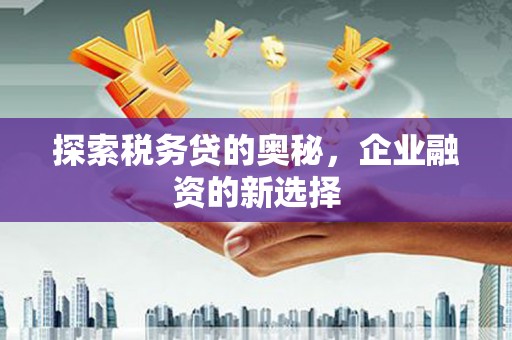 大兴安岭探索税务贷的奥秘，企业融资的新选择