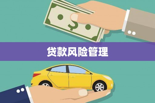 大兴安岭贷款风险管理