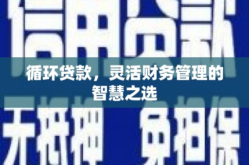 大兴安岭循环贷款，灵活财务管理的智慧之选
