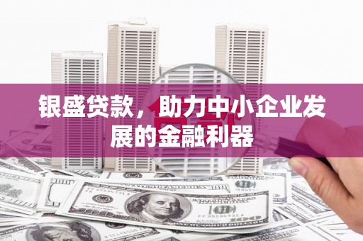 大兴安岭银盛贷款，助力中小企业发展的金融利器