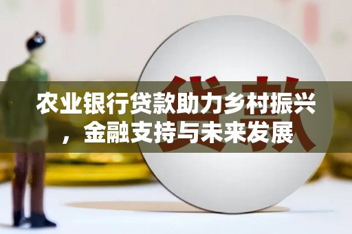 大兴安岭农业银行贷款助力乡村振兴，金融支持与未来发展