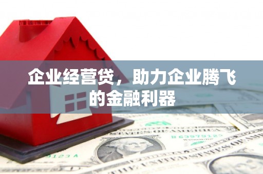 大兴安岭企业经营贷，助力企业腾飞的金融利器