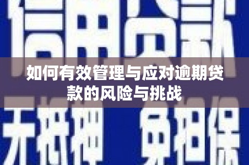 大兴安岭如何有效管理与应对逾期贷款的风险与挑战