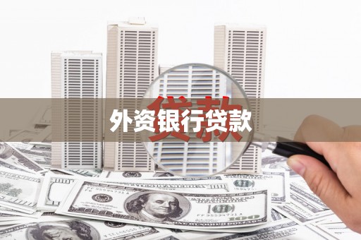 大兴安岭外资银行贷款