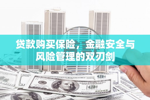 大兴安岭贷款购买保险，金融安全与风险管理的双刃剑