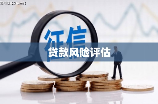 大兴安岭贷款风险评估