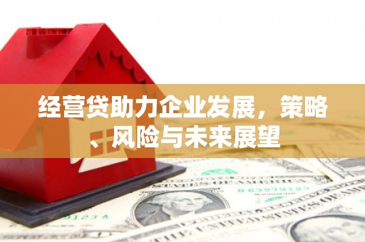 大兴安岭经营贷助力企业发展，策略、风险与未来展望