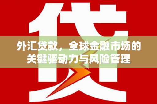 大兴安岭外汇贷款，全球金融市场的关键驱动力与风险管理