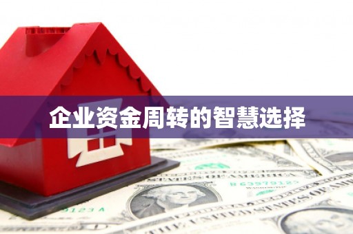 大兴安岭企业资金周转的智慧选择