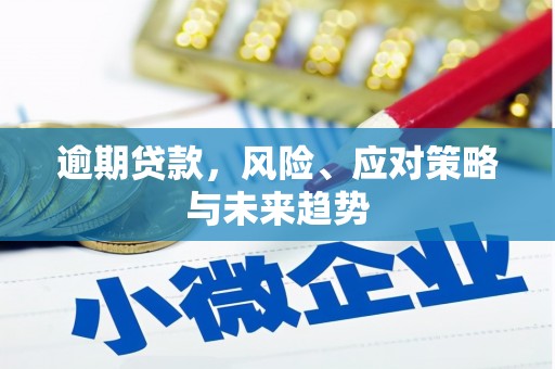 大兴安岭逾期贷款，风险、应对策略与未来趋势