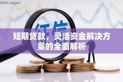 大兴安岭短期贷款，灵活资金解决方案的全面解析