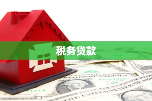大兴安岭税务贷款